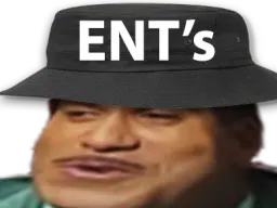 :ents1: