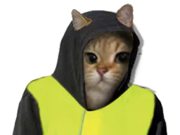 :sodium_gilet: