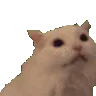 :catscream: