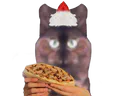 :Kebab: