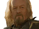 :Theoden_lotr: