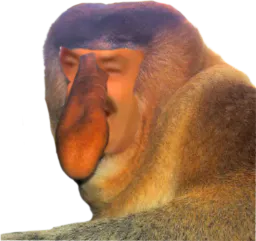 :Singitas: