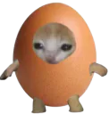 :Choeuf: