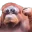 Photo de profil de LeMonke