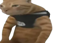 :chat_grobra: