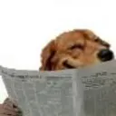 EncorePerduMDP