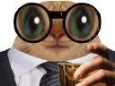 :chatverre: