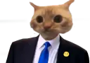 :Chatonchent: