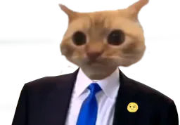 :Chatonchent: