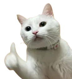 :Chat_pouce_: