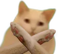 :Chtoppe: