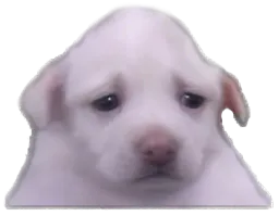 :purertriste: