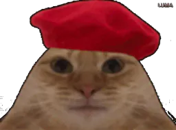 :baguette_lunette_uwu: