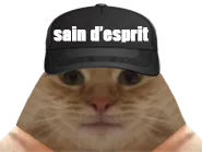 :chat_sain: