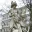 Photo de profil de SiegfriedKFC