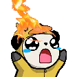 :pandaquibrule: