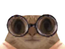 :ChatBrise: