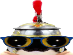 :chat_lunettes_romain: