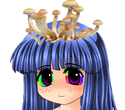 :psilocybe-rika: