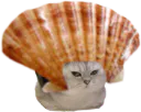 :ChatPalourde: