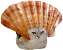 :ChatPalourde: