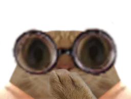 :Chatoups: