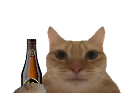 :ChatBiere: