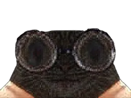 :Chat-Cru10e:
