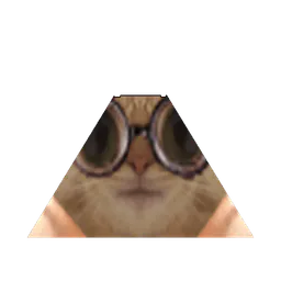 :chat-lunettes-pyramide: