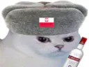 :chat_pologne_vodka: