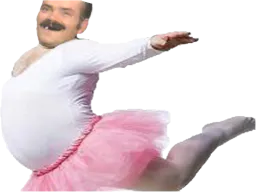 :risiballerine: