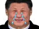 :xi_jiping_larmes: