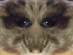 :HampterMirror: