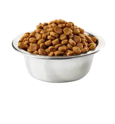:sodium_bol: