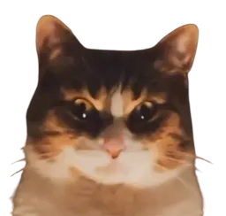 :Chat_terrifiant: