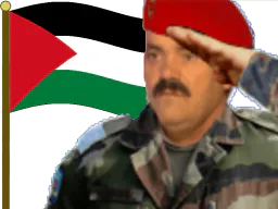 :Palestine_resiste: