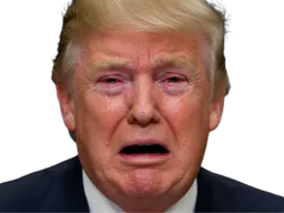 :Trump_chiale_: