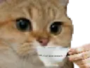 :chat_cafe: