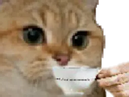 :chat_cafe:
