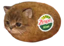 :chatkiwi: