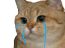 :sodium_triste: