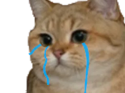 :sodium_triste: