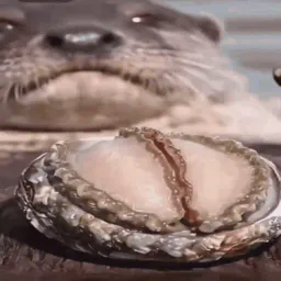 :Loutre_perverse: