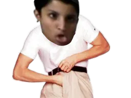 :dromadaire_zgeg: