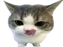:chatlangue: