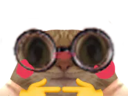 :chat_lunettes_timide: