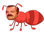 :fourmi: