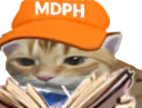 :ChatMdph: