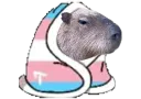 :FaisPoChaud_Capybara: