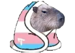:FaisPoChaud_Capybara: